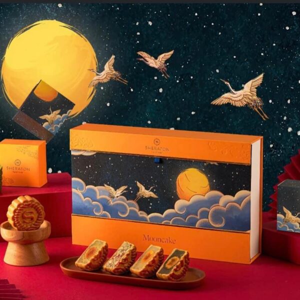 293222374 176813904812758 7791119205224710422 n