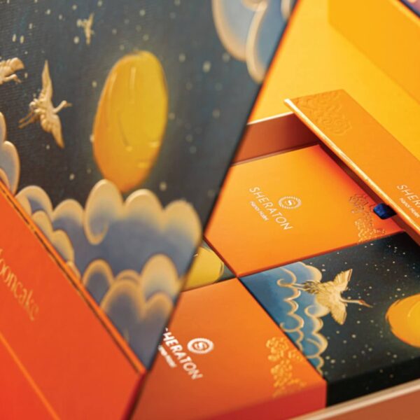 293270316 176840918143390 8924266726673606876 n