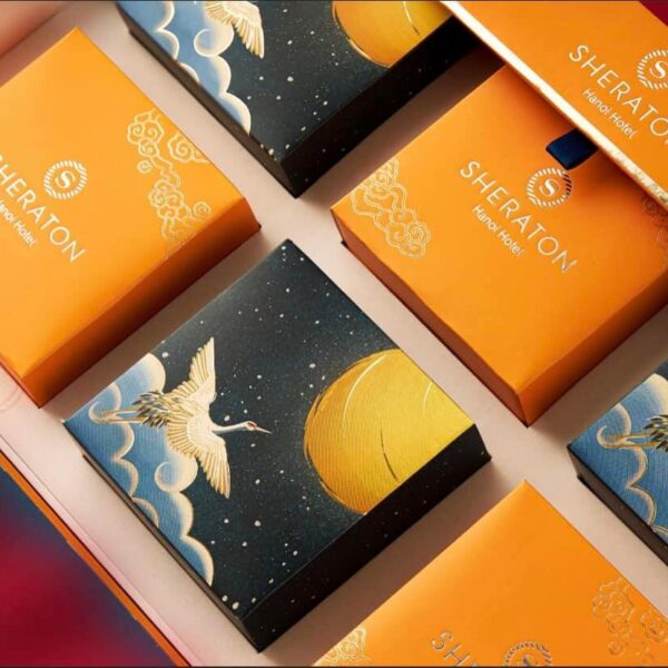 293535558 176813898146092 7064349534031364054 n