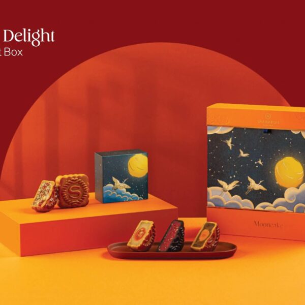 293922178 176840834810065 2152932664053082128 n